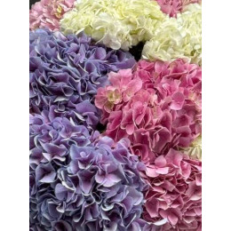 Букет Невесомость