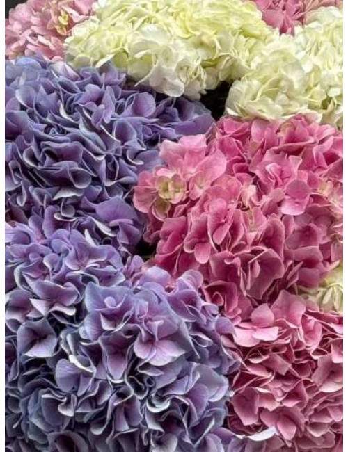 Купить Букет Невесомость по низким ценам в Уссурийске, заказ доставки цветов | Цветочный Рай