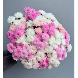 Букет 9 хризантем