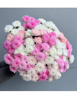 Букет 11 хризантем