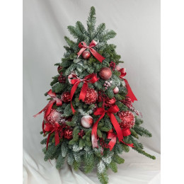 Ёлка M из нобилиса