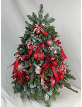 Ёлка M из нобилиса