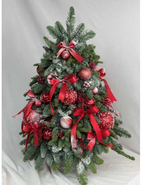 Ёлка M из нобилиса