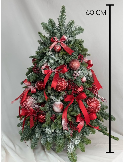 Ёлка M из нобилиса