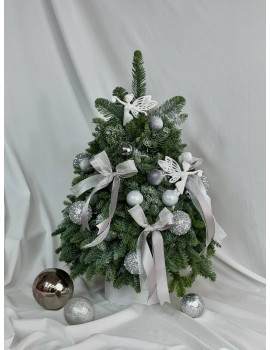 Ёлка S из нобилиса