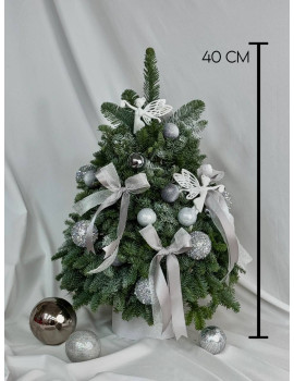 Ёлка S из нобилиса