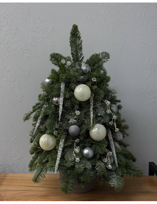 Ёлка M из нобилиса