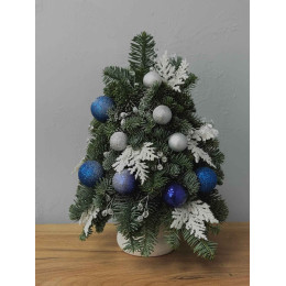 Ёлка S из нобилиса