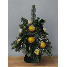 Ёлка S из нобилиса