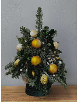 Ёлка S из нобилиса