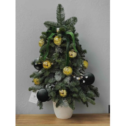 Елка L из нобилиса