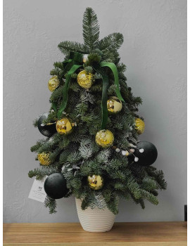 Елка L из нобилиса